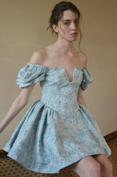 Floral Print Irregular Neck Puff Sleeve A-Line Mini Dresses-Blue